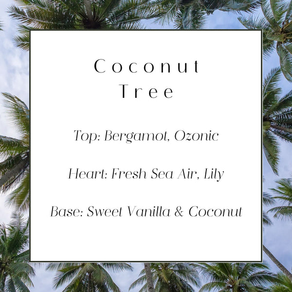 Coconut Tree Car Diffuser Refill