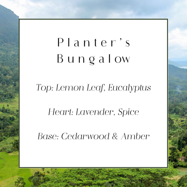 Planter's Bungalow 40 Hour Candle